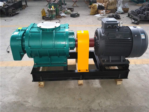 直联式罗茨鼓风机(图1)